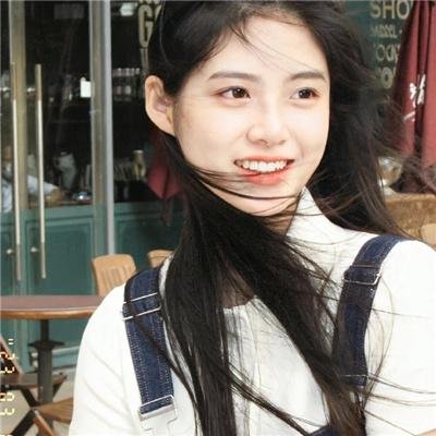 认识狗狗